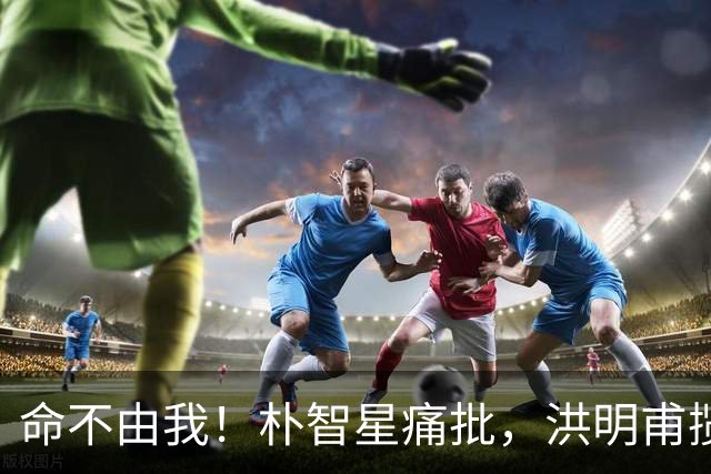命不由我！朴智星痛批，洪明甫揽责，孙兴慜表态，这次比国足还惨