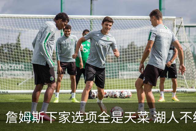 詹姆斯下家选项全是天菜 湖人不给的体面这些队能给